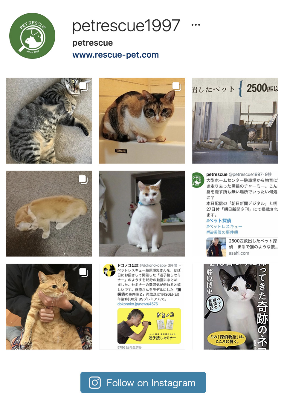 ペットレスキュー　PETRESCUE Instagram