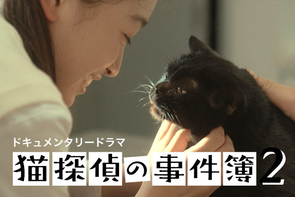 藤原博史の捜索実話にもとづくドキュメンタリードラマ NHK BS 「猫探偵の事件簿2」