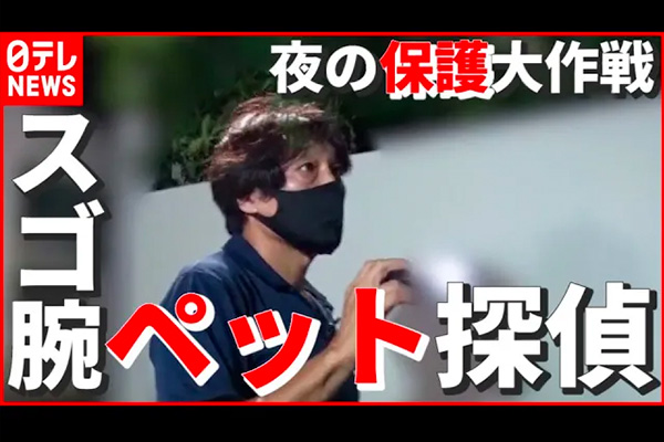 日テレ：【密着】失踪から12日…飼い猫はどこへ？「スゴ腕 ペット探偵」“迷子ネコを探し出せ”